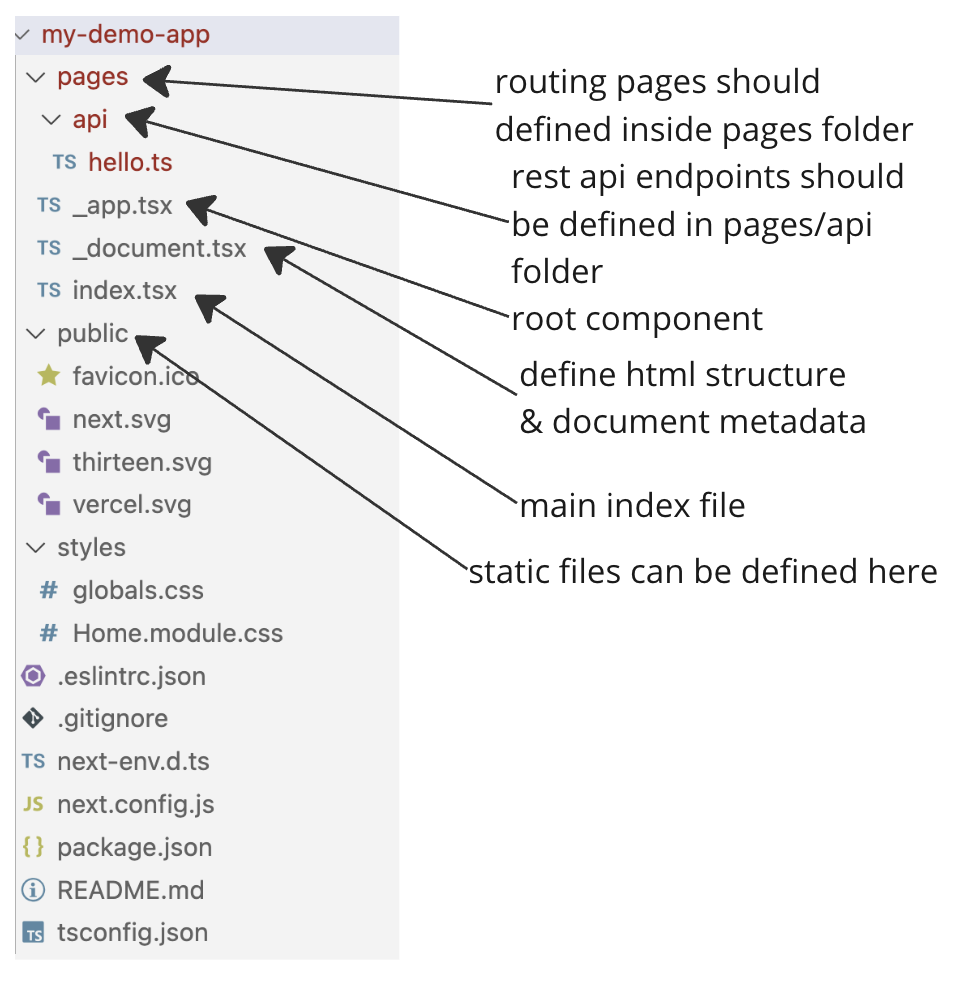 Next JS Folder StructureS
